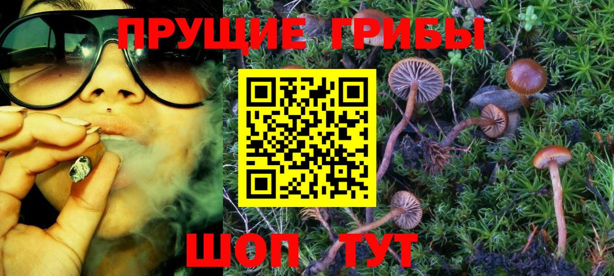 Псилоцибиновые грибы мухоморы Зеленогорск
