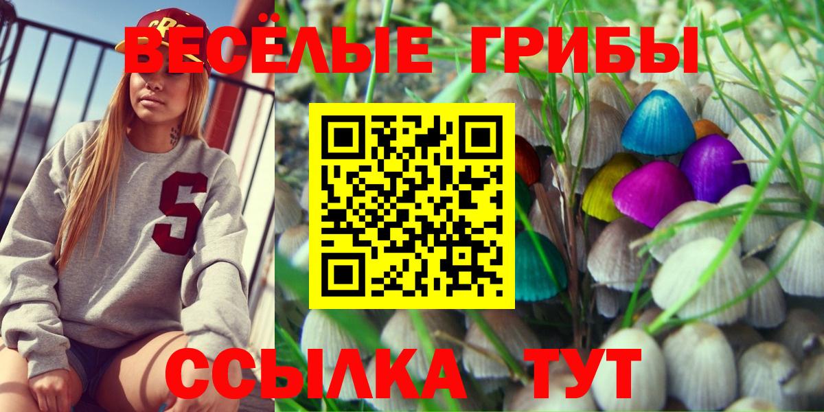 Зеленогорск  Галлюциногенные грибы GOLDEN TEACHER  Вход с VPN 
